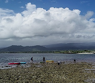 Photo: Junior S. Ami Coral reef restoration by Ferron Fruean and staff. Photo: Junior S. Ami