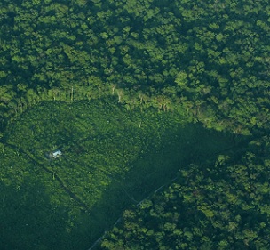 An aerial view of a clearing in a forest in Indonesia’s Sumatra island, August 5, 2010. Photo: Reuters/Beawiharta An aerial view of a clearing in a forest in Indonesia’s Sumatra island, August 5, 2010. Photo: Reuters/Beawiharta