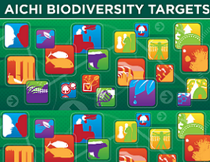 Aichi targets