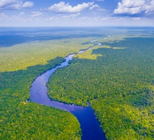 The Amazon river in Brazil. Photo credit: worldclassphoto/Shutterstock.com.