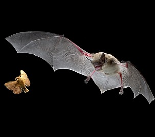 source - www.science.org source - www.science.org