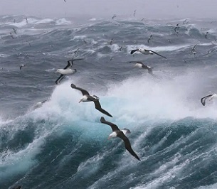 Credit - Unsplash New high seas treaty to fill vital gap in ocean protection. Credit - Unsplash