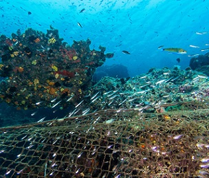 The estimated cost alone of illegal, unreported and unregulated fishing within the western and central Pacific is more than $US616m ($870.5m) per year. Source - https://www.theaustralian.com.au/