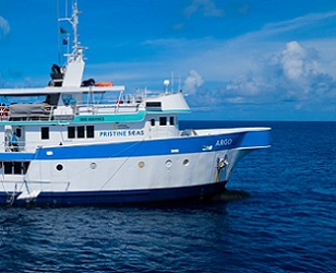 Credit - Steve Spence/National Geographic Pristine Seas Photo by: Steve Spence/National Geographic Pristine Seas