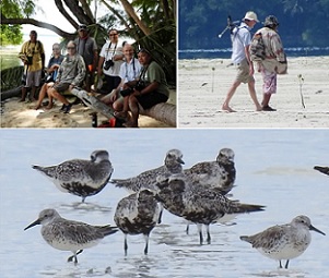 Belau National Museum Education Campaign on the Northern Peleliu Lkes. Credit - https://islandtimes.org/ Belau National Museum Education Campaign on the Northern Peleliu Lkes. Credit - https://islandtimes.org/