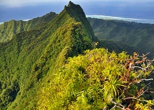 Cloud forest, Rarotonga. Cook Islands. Credit - SPREP Cloud forest, Rarotonga. Cook Islands. Credit - SPREP