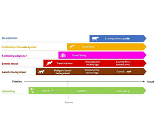 Feasibility of conservation areas and the different genomic and biotechnological tools. Each line and color presents one of the main conservation problems. The timeline indicates the feasibility of the listed tools for current and future potential conservation applications. Credit: DOI: 10.1007/s10592-021-01415-5 Feasibility of conservation areas and the different genomic and biotechnological tools. Each line and color presents one of the main conservation problems. The timeline indicates the feasibility of the listed tools for current and future potential conservation applications. Credit: DOI: 10.1007/s10592-021-01415-5