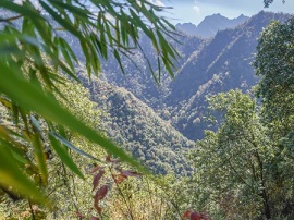 A Sichuanese forest ranger on patrol in the Giant Panda National Park. Credit - Kyle Obermann