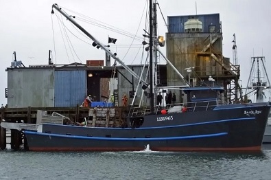 By collaborating with fishers, governments with limited resources for enforcement can more easily identify vessels that illegally harvest shark fin. source -https://www.sharkophile.com/