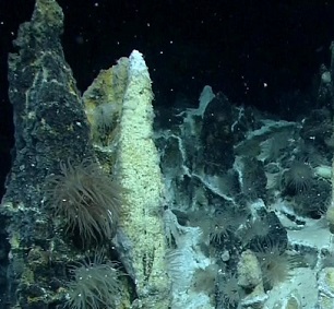 Antarctic hydrothermal vents. Credit: MARUM, Bremen Germany Antarctic hydrothermal vents. Credit: MARUM, Bremen Germany
