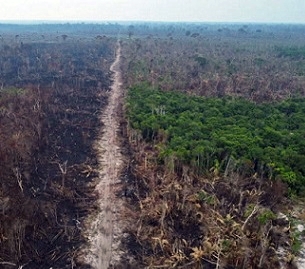 Credit: Michael Dantas/AFP/Getty Deforested areas rim a highway running through the state of Amazonas in Brazil. Credit: Michael Dantas/AFP/Getty