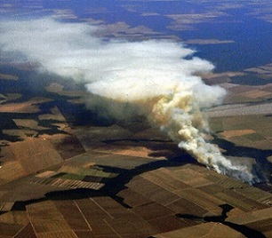 The 600-page review said that all livelihoods on Earth depended on the health of the planet. Credit - https://phys.org/