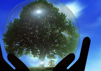 Environmental policy often has undesirable side effects