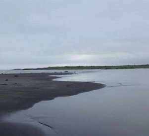 Mukawa estuary, Hokkaido, one of the 22 estuaries sampled for the study. Credit: Akihide Kasai Mukawa estuary, Hokkaido, one of the 22 estuaries sampled for the study. Credit: Akihide Kasai