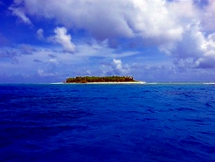 Credit - V. Jungblut Funafuti Conservation Area, Tuvalu. Credit - V. Jungblut
