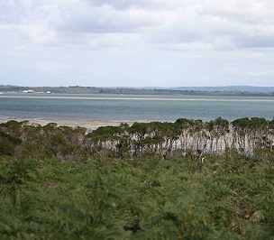 Western Port, Victoria looking west from French Island, March 2005. Credit - Takver (www.takver.com) CC BY-SA 3.0