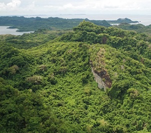 Credit - https://islandtimes.org/ credit - https://islandtimes.org/