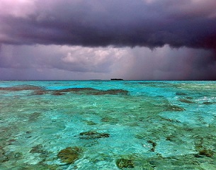 Credit - V. Jungblut Funafuti Conservation Area, Tuvalu. Credit - V. Jungblut
