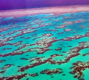 Credit - CC BY SA-3.0 Great Barrier Reef, Australia. Credit - CC BY SA-3.0
