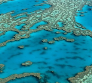source - https://www.zmescience.com Great Barrier Reef, Australia. source - https://www.zmescience.com