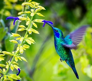 Photo credit: Glass and Nature/Shutterstock Photo credit: Glass and Nature/Shutterstock