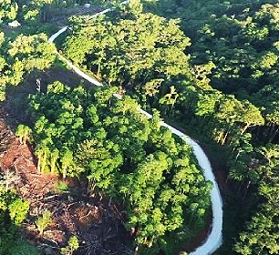 Credit - https://www.solomonstarnews.com/ Credit - https://www.solomonstarnews.com/