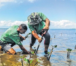 Credit - Fiji Hotel and Tourism Association Credit - Fiji Hotel and Tourism Association