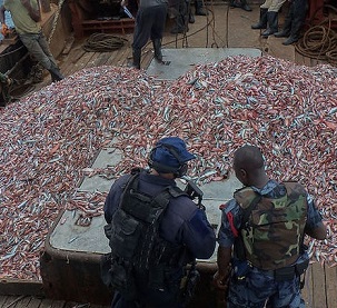 U.S. Coast Guard officials and a Ghanaian Navy sailor inspect a fishing vessel suspected of illegal fishing. Image courtesy of the U.S. Navy/Kwabena Akuamoah-Boateng. U.S. Coast Guard officials and a Ghanaian Navy sailor inspect a fishing vessel suspected of illegal fishing. Image courtesy of the U.S. Navy/Kwabena Akuamoah-Boateng.
