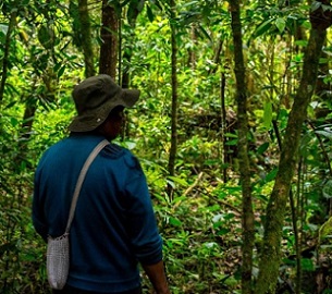 Credit - www.mongabay.com indigenous peoples. Credit - Mongabay.com