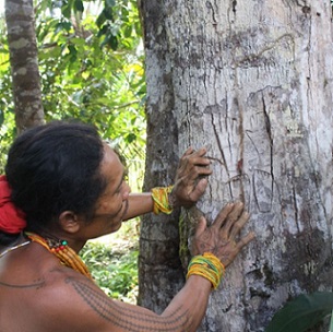 Photo - Vinolia Ahmad/Mongabay-Indonesia. Photo - Vinolia Ahmad/Mongabay-Indonesia.