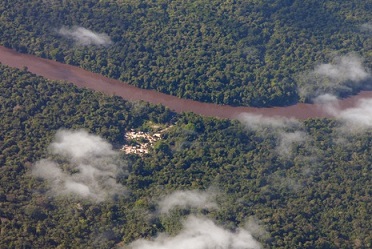 indigenous forests