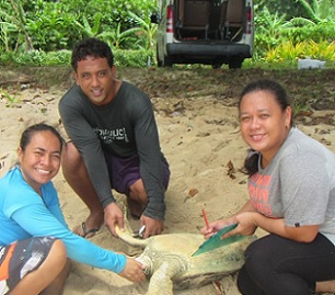Credit - Samoan Government/MNRE Credit - Samoan Government/MNRE