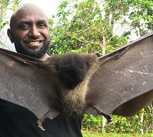 Credit - Salit Kark Junior Novera, a conservation scientist, is working with his community in Papua New Guinea to protect imperiled Bougainville monkey-faced bats and other local species. Photo courtesy of Salit Kark