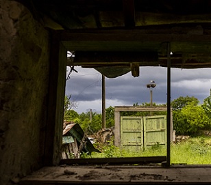 Credit: Malkolm Boothroyd Wildlife seen through ruins. Credit: Malkolm Boothroyd