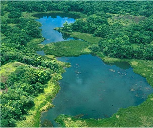 Credit - Colin Joseph Lake Ngardok Nature Reserve, Palau. Credit - Colin Joseph