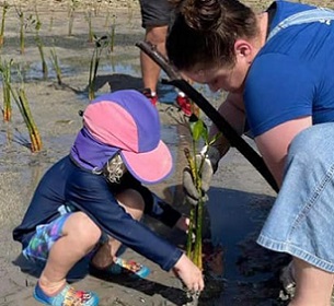 Photo: Australia in Tonga. A child helps volunteers and other counter parts plant mangroves at Sopu, Nuku'alofa, Tonga. 12 August 2023. Photo: Australia in Tonga.