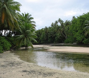Credit - V. Jungblut Madmad Island, Namdrik Atoll, Marshall Islands. Credit - V. Jungblut