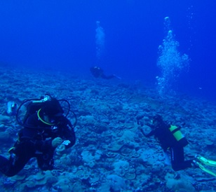 A Marae Moana research team pictured during their survey of a Mitiaro coral reef in 2013. Credit - www.cookislandsnews.com