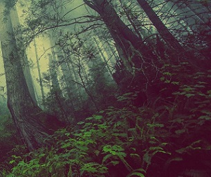 Credit: CC0 Public Domain Credit: CC0 Public Domain