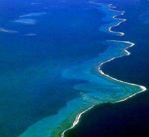 Aerial view of the New Caledonian lagoon with its barrier reef. Credit: IRD - Bernard Seret Aerial view of the New Caledonian lagoon with its barrier reef. Credit: IRD - Bernard Seret