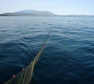 Ocean 'conservation zones' would slow down climate change as well as benefitting fishing communities, experts say. Source - https://uk.news.yahoo.com/