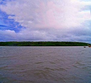 Credit - V. Jungblut Nasoata Islet, Viti Levu, Fiji. Credit - V. Jungblut