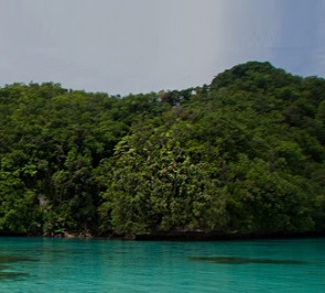 Credit - https://www.islandconservation.org Ngeanges Island, Palau. Credit - https://www.islandconservation.org