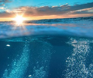 Credit: University of Queensland A 3D approach to protecting biodiversity on the high seas by University of Queensland. Credit: University of Queensland