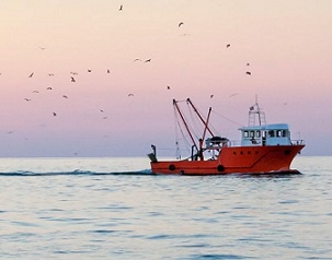 Can countries end overfishing and plastic pollution in just 10 years? - Credit: Artem Mishukov/Shutterstock