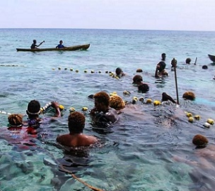 In various coastal villages around Solomon Islands, the use of passive devices were used in the past. Photo: Ronald F. Toito’ona In various coastal villages around Solomon Islands, the use of passive devices were used in the past. Photo: Ronald F. Toito’ona