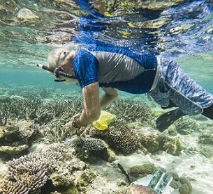 Stanford Professor and PICRC Continue Study of Heat Tolerant Corals in Palau. Credit - PICRC Stanford Professor and PICRC Continue Study of Heat Tolerant Corals in Palau. Credit - PICRC
