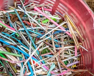 Plastic straws get stuck in the airways of marine life and cause painful internal injuries. Queensland will move to ban them along with plastic cutlery, stirrers and plates. Photograph: Mladen Antonov/AFP/Getty Images