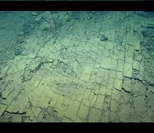 Image - The Ocean Exploration Trust/E/V/Nautilus/YouTube Screenshot A deep-sea 'yellow brick road'. Image - The Ocean Exploration Trust/E/V/Nautilus/YouTube Screenshot
