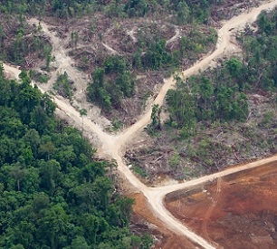 Logging roads in Papua New Guinea’s East New Britain Province. Since the introduction of SABLs in 1996, more than 5 million hectares (12 million acres) of virgin forest have been logged. Image by Paul Hilton/Greenpeace. Logging roads in Papua New Guinea’s East New Britain Province. Since the introduction of SABLs in 1996, more than 5 million hectares (12 million acres) of virgin forest have been logged. Image by Paul Hilton/Greenpeace.